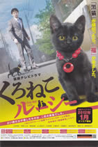 chat_noir_lucy_3