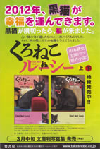 chat_noir_lucy_4