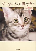 good_good_is_cat