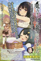 a_witch_with_magical_cheat_3_pamph