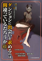 dungeon_ni_deai_17_pamph