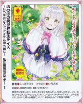 honobono_isekai_tensei_days_1_pamph