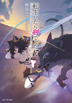 i_became_the_sword_by_transmigrating_17_illust_front