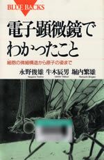 denshi_kenbi_kyou