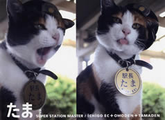 tama_super_station_master