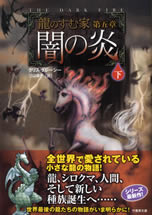 the_dark_fire_2