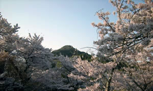 DSCN3757