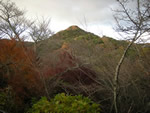 DSCN3790