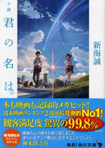 your_name_novel
