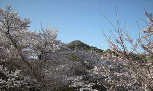 DSCN3848