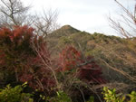 DSCN3930