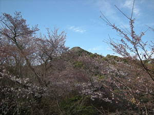 DSCN4004