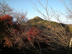 DSCN4122
