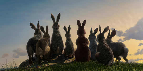 netflix_watership_down_review