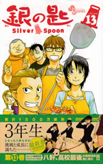 silver_spoon_13