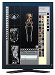 eizo_radiforce_r31_radical