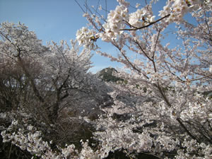DSCN4679