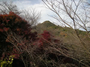 DSCN4728