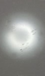 m29757327206_5