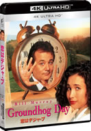 groundhog_day_4k_ultra_hd_2