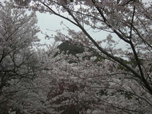 DSCN5097