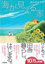 umi_ga_mieru_ie_1