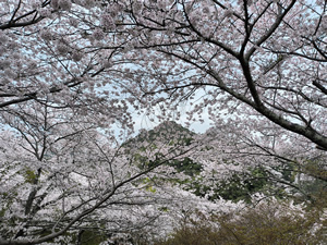 IMG_20250410_143856048_HDR