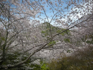 DSCN7251
